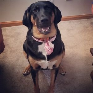 Meet your Posher, Caitland